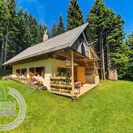 Mountain Eco Chalet Konjska Dolina On 1400 M Asl -Near Pokljuka 스레드냐 바스 보히뉴 외부 사진