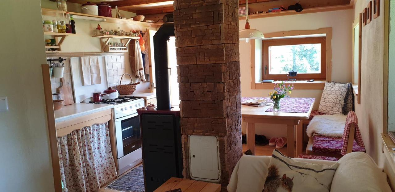 Mountain Eco Chalet Konjska Dolina On 1400 M Asl -Near Pokljuka 스레드냐 바스 보히뉴 외부 사진