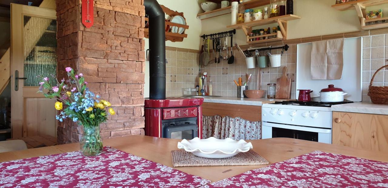 Mountain Eco Chalet Konjska Dolina On 1400 M Asl -Near Pokljuka 스레드냐 바스 보히뉴 외부 사진