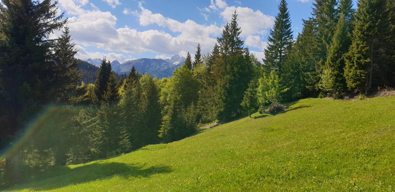 Mountain Eco Chalet Konjska Dolina On 1400 M Asl -Near Pokljuka 스레드냐 바스 보히뉴 외부 사진