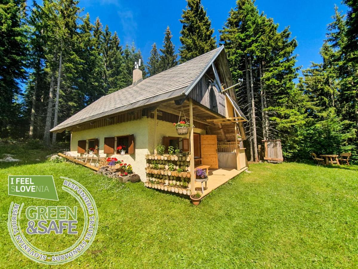 Mountain Eco Chalet Konjska Dolina On 1400 M Asl -Near Pokljuka 스레드냐 바스 보히뉴 외부 사진